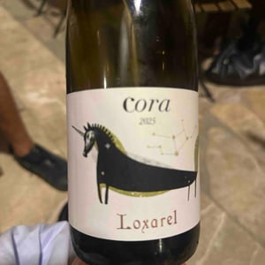 Cora de Loxarel - Heretat MontRubì - Mont Rubì