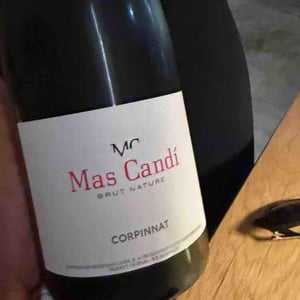Corpinnat Brut Nature - Mas Candí - Ramón Jané, Mercé Cuscó, Toni Carbó, Ramón Galimany -2019