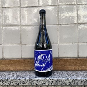 Cosmonauta En El Paraje 601 - El Mozo Wines - Bodegas Compañon Arrieta - el-mozo