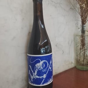 Cosmonauta En El Paraje 601 - El Mozo Wines - Bodegas Compañon Arrieta - El Mozo 