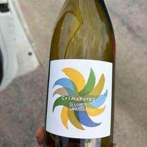 Cosmopotes - Domaine Plaisance - Penavayre - louis-marc-et-thibaut-penavayre -2024