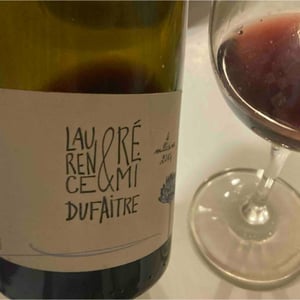 Côte de Brouilly - Domaine de Botheland - Rémi Dufaitre & Laurence Liatard 