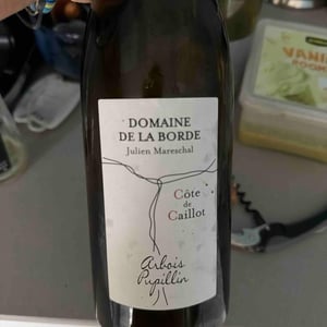 Côte de Caillot - Domaine de la Borde - julien-mareschal