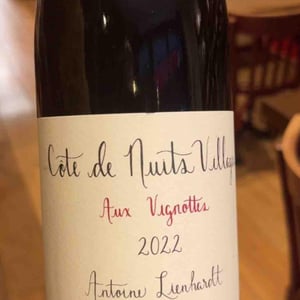 Côte de Nuits-Villages "Aux Vignottes" - Antoine Lienhardt - antoine-lienhardt