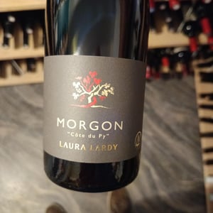Côte du Py - Domaine Laura Lardy - Laura Lardy