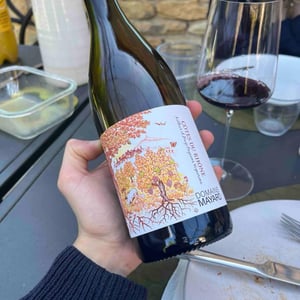 Côte du Rhône - Domaine Mayard - arthur-et-hugo-mayard -2024