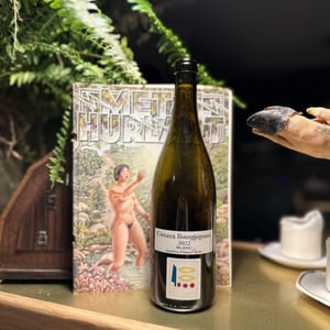 Coteaux Bourguignon - Domaine Prieuré Roch - henry-frederic-roch-yannick-champ -2020