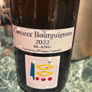 Coteaux Bourguignon - Domaine Prieuré Roch - henry-frederic-roch-yannick-champ -2022