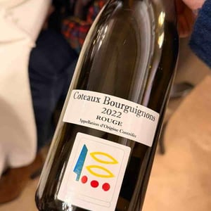 Coteaux Bourguignon - Domaine Prieuré Roch - Henry-Frédéric Roch & Yannick Champ -2020
