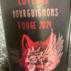Côteaux Bourguignons - Chapuis & Chapuis - Romain & Jean-Guillaume Chapuis 