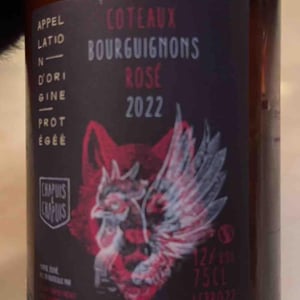Côteaux Bourguignons Rosé - Chapuis & Chapuis - Romain & Jean-Guillaume Chapuis -2023