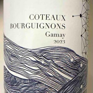 Coteaux Bourguignons Gamay - Domaine Didon - naima-david-didon