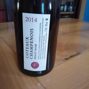 Coteaux Champenois - Champagne Fleury - Morgane, Jean-Sébastien & Benoit Fleury 
