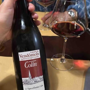 Côteaux Du Vendômois Rouge - Domaine Colin - pierre-francois-colin-patrice-colin -2020