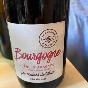Côtes d'Auxerre - Domaine d'Edouard - Édouard Lepesme -2021