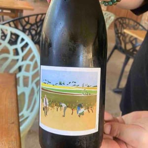 Côtes du Rhône Nouveau - Domaine Marcel Richaud - marcel-richaud