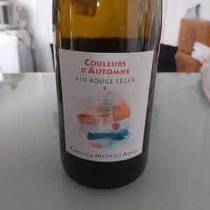 Couleurs D’Automne - Domaine Mathieu Apffel - camille-mathieu-apffel