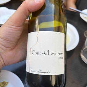 Cour-Cheverny - Hervé Villemade - Hervé Villemade -2021