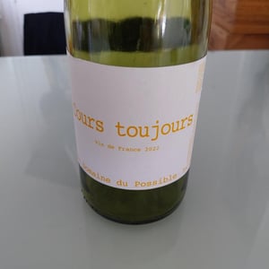 Cours Toujours - Domaine du Possible - Loïc Roure 