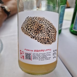 Crazy Crazy - Marto Wines - Weingut Wörner - martin-worner -2023