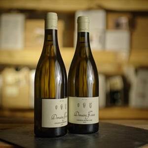 Crozes-Hermitage - Domaine Finot - Thomas Finot -2023