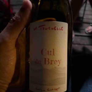 Cul du Brey Rouge - Domaine de la Tournelle - evelyne-clairet