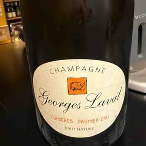 Cumières Brut - Champagne Georges Laval - Mathilde et Vincent Laval 