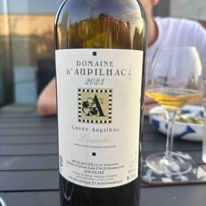 Cuvée Aupilhac - Domaine d'Aupilhac - desiree-sylvain-fadat