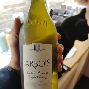 Cuvée d'Automne - Domaine de la Pinte - pierre-martin