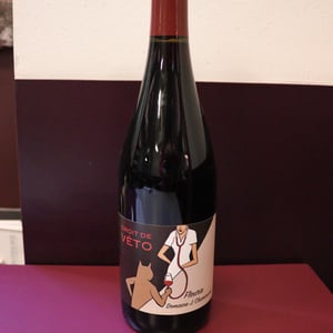 cuvée Droit de Veto - Domaine Chamonard-Jeanne Chanudet - jean-claude-jeanne-genevieve-chanudet -2021