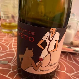 cuvée Droit de Veto - Domaine Chamonard-Jeanne Chanudet - Jean-Claude, Jeanne & Geneviève Chanudet -2021