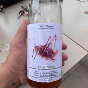 Cuvée nature rosé - Anna, André & Yann Durrmann - Anna, André & Yann Durrmann -2023