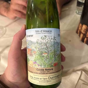 Cuvée Nature Rouge de Pinot Noir - Anna, André & Yann Durrmann - anna-andre-yann-durrmann -2022