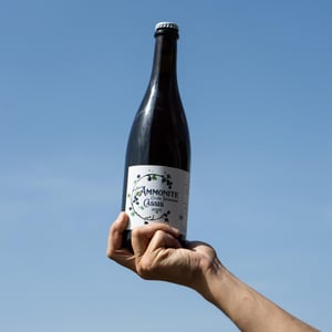 CUVÉE VENDANGE CASSIS - Brasserie Ammonite - Simon Lecomte -2023