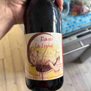 Dans La Lune - Le Débit d'Ivresse - Luc Devot 