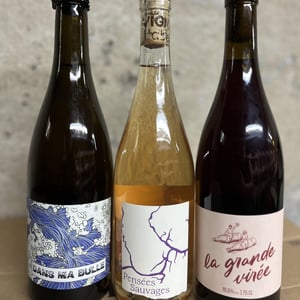 Dans ma bulle - La vigne et l’abeille - loic-fourure -2024
