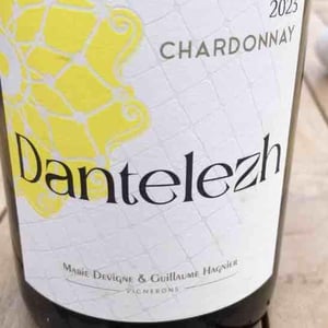 Dantelezh - Le vignoble de Rhuys - marie-devigne-guillaume-hagnier -2023