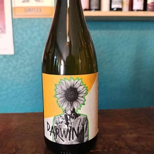 Darwin Cabernet Blanc - Roman Des Vignes - Roland et Roman Tournier 