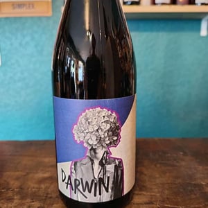 Darwin Vidoc - Roman Des Vignes - Roland et Roman Tournier 
