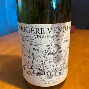 Dernière vendange - Benoit Camus - Benoit Camus -2023