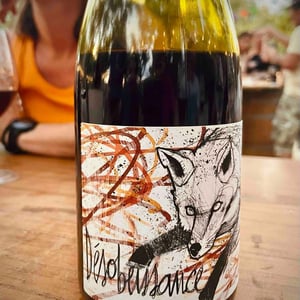 Désobéissance - Domaine les Gragnotes - Benoit Guillot & Erika Mazer 