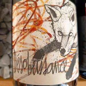 Désobéissance - Domaine les Gragnotes - benoit-guillot-erika-mazer