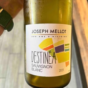 Destinéa - Joseph Mellot - joseph-mellot -2025