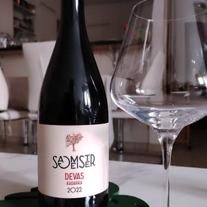 Devas Kadarka - Vino Sagmeister Bor - erno-sagmeister -2021