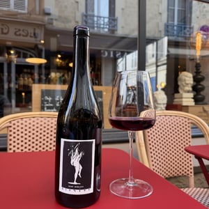 Diantre - Domaine Frédéric Mabileau - remy-mabileau