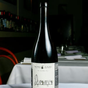 Dinamica Tinto - Filipa Pato - Filipa Pato & William Wouters 
