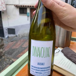 Dinavolino - Azienda Agricola Denavolo - Giulio Armani