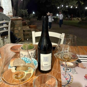 Dinavolo - Azienda Agricola Denavolo - Giulio Armani 