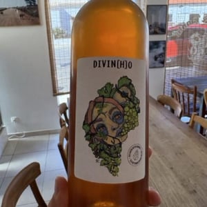 Divinho curtimenta - Quinta do Pinheiro - Fausto Araújo 