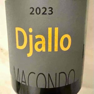 Djallo - Cantina Macondo - macondo -2023